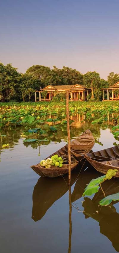 vietnam mekong delta