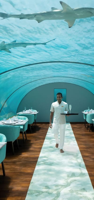 maldiverne conrad maldives rangali iisland ithaa undersea restaurant scaled