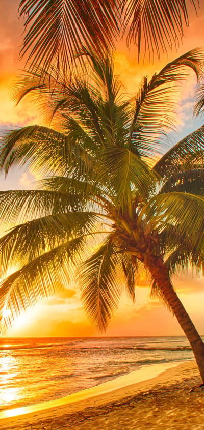 caribien barbados solnedgang