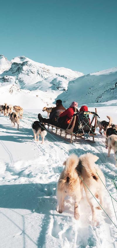 Grønland hundeslaede