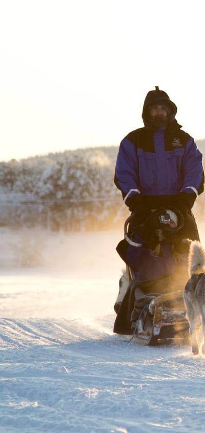 Finland, Finske Lapland Nellim Wilderness Hotel, Husky Safari, Sl&aelig;dehunde, Vinter, Sne
