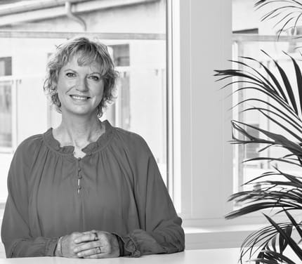 Helle Montem, Krydstogtekspert