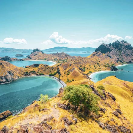 Indonesien Komodo, Padar Island Udsigt