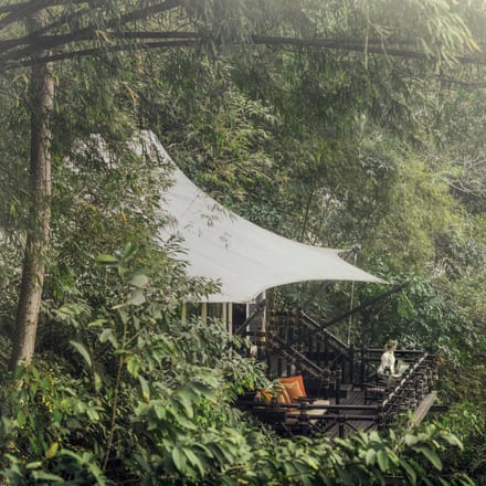 Thailand four seasons tented telt glamping lejr jungle