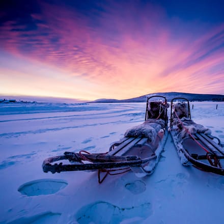 hundeslæde i svensk lapland
