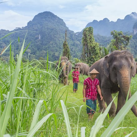 mand g&aring;r med elefant i marken