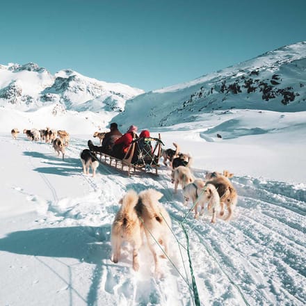 Grønland hundeslaede