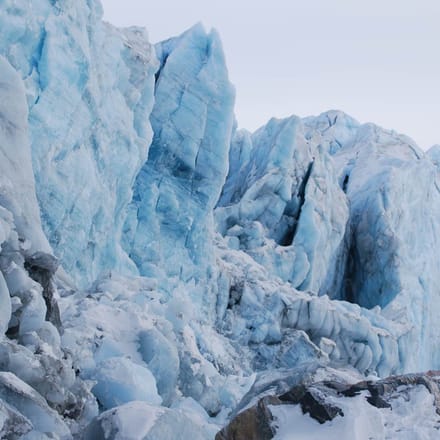 Grønland Kangerlussuaq, Udflugt, Russel Gletsjeren, Indlandisen, Natur