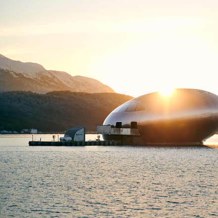 restaurant iris i norge