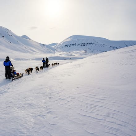 Svalbard hundeslaede til isgrotte svalbard foto schibsted partnerstudio scaled Hurtigruten