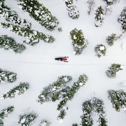 Lapland snescooter skov gennem