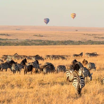 Masai Mara mari ballonsafari