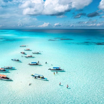 zanzibar artikel