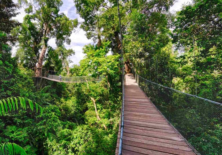 Malaysia, Borneo, Gaya Island Bungaraya Island Resort Canopywalk