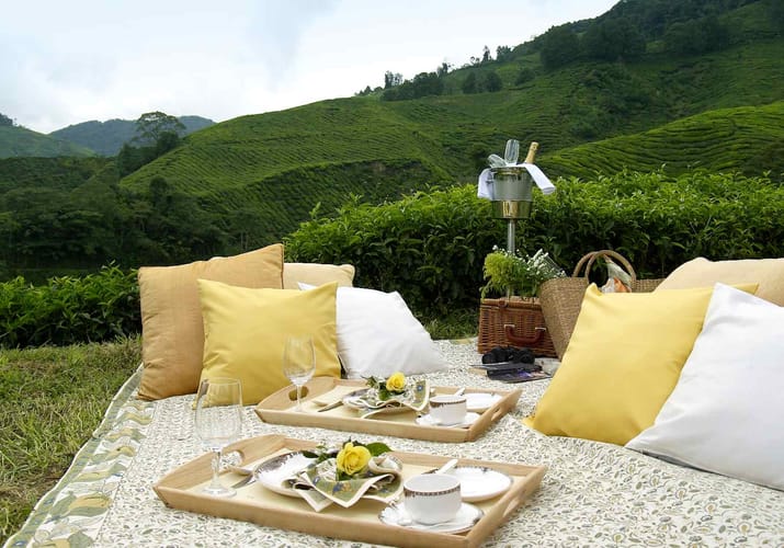 Malaysia cameron highlands cameron highlands picnic resort