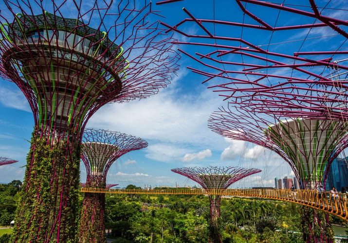 singapore gardens the bay supertrees scaled