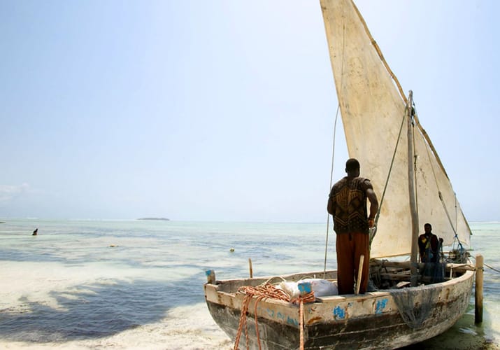 tanzania zanzibar tumbaty zanzibars bedst bevarade hemmelighed udflugt