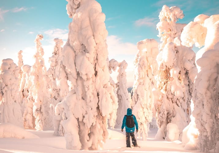 finland Lapland snelandskab med tildaekket traeer 1920x1080