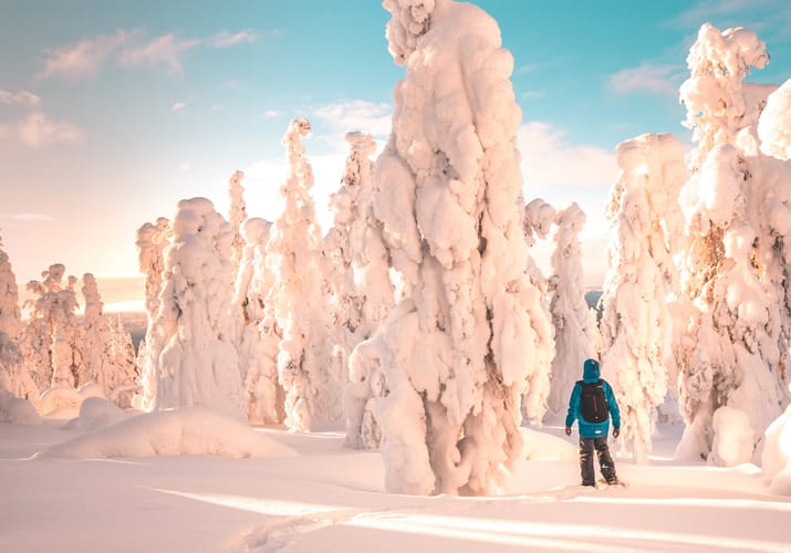 finland Lapland snelandskab med tildaekket traeer scaled