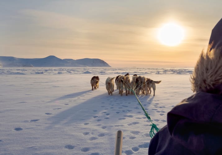 Gr&oslash;nland hundesl&aelig;de solnedgang