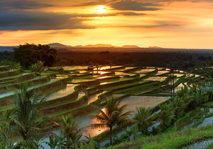Indonesien Bali munduk jatiluwih scaled