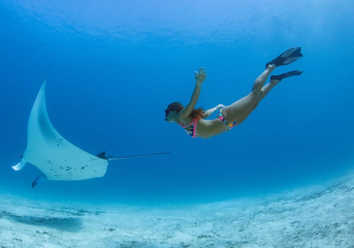 Rejser til Maldiverne, Centara Grand Island Resort & Spa, Snorkeling med mantarokke