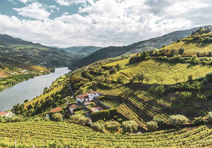 Landskab med bugtende vinmarker ved Duorofloden i Portugal