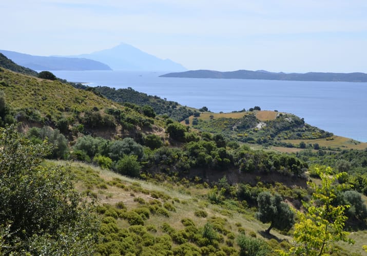rejser til graekenland halkidiki kyst scaled