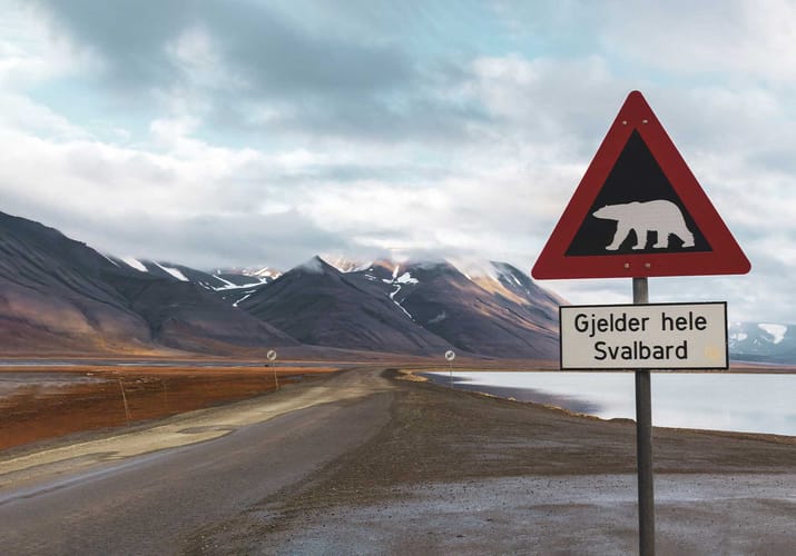 Skilt med advarsel om isbjørne, Svalbard