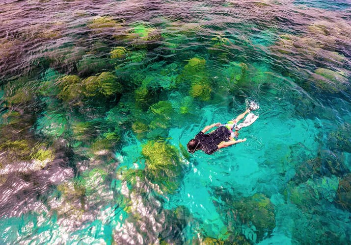 Thailand Koh Rok Kvinde Snorkler I Klart Vand