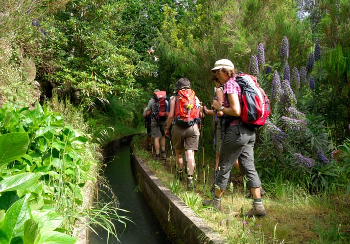 Madeira Levada Vandring