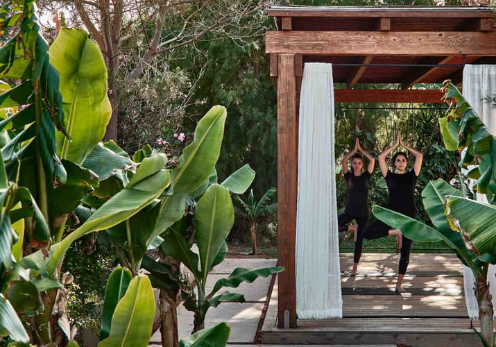 Rejser til Grækenland, Kreta, Heraklion, Cretan Malia Park, Yoga