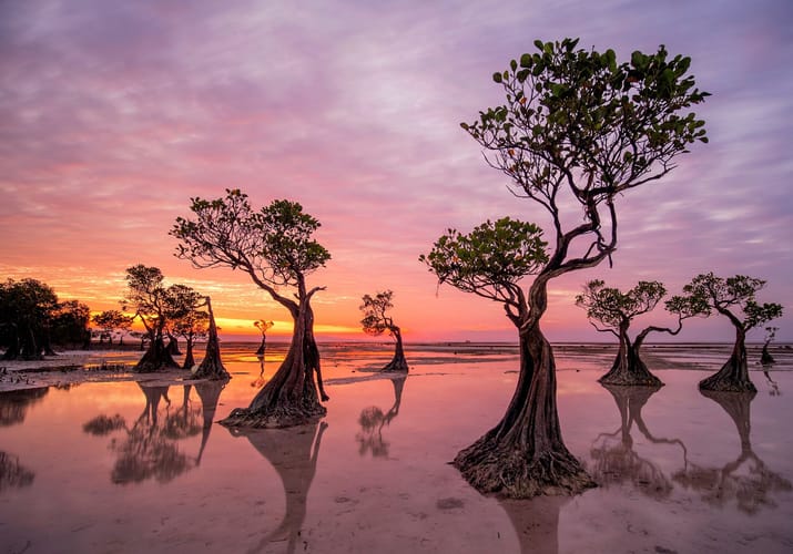insonesien sumba walakiri beach