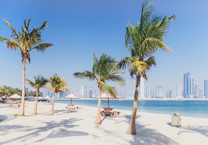 strand med palmer i dubai