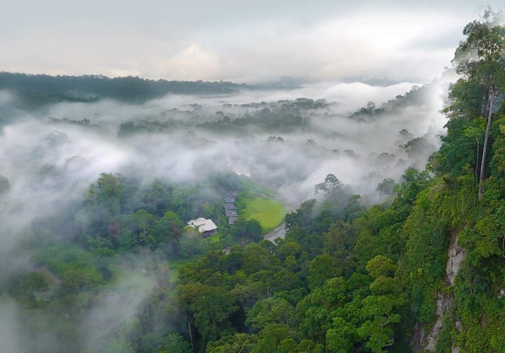 Malaysia, Borneo, Danum Valley Borneo Rainforest Lodge, Aerial View