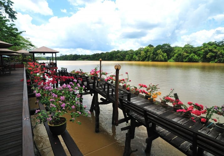 Malaysia, Borneo, Kinabatangan River Lodge, Aerial View