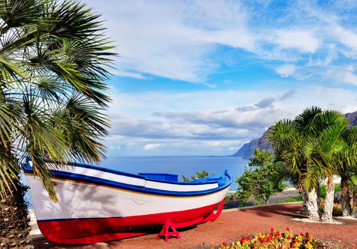 Tenerife los gigantes udsigt baad palmer scaled