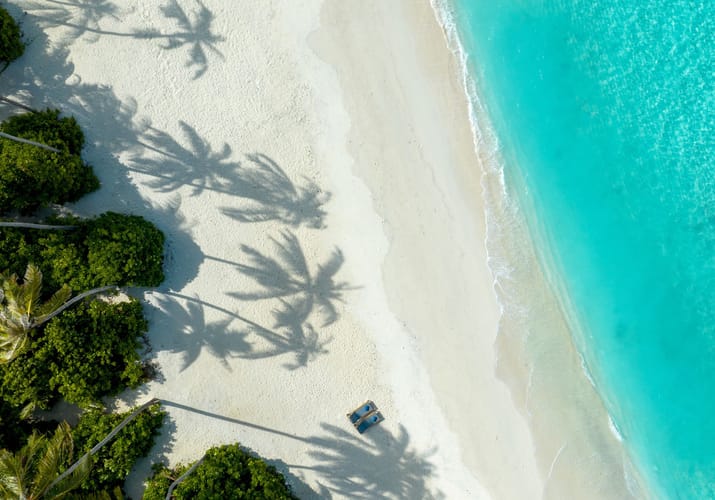 maldiverne avani plus fares beach pool villa sydvest strand