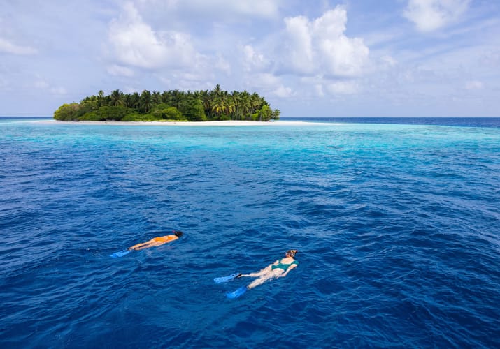 maldiverne avani plus fares snorkeling hoholha island