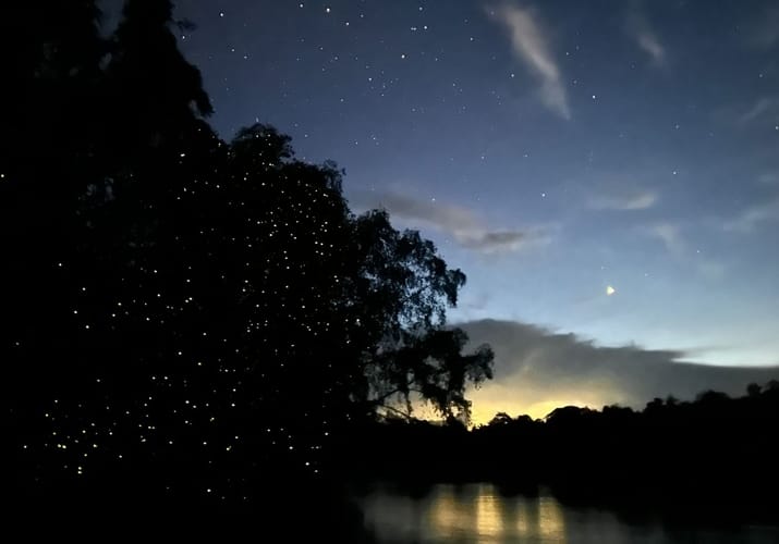 Indonesien Borneo flodcruise after dark