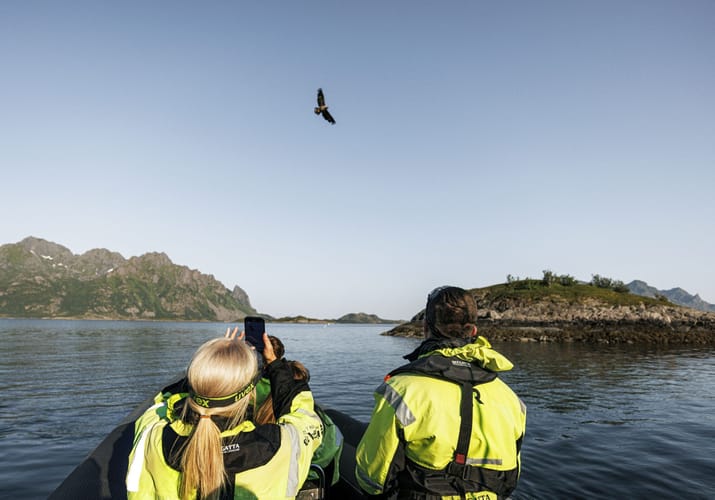 Norge havila kystruten lofoten svolvaer excursion sea eagle rib marius beck dahle scaled safari