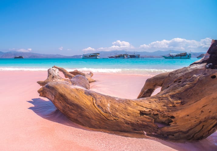 Indonesien flores labuan bajo pink beach komodo national park scaled