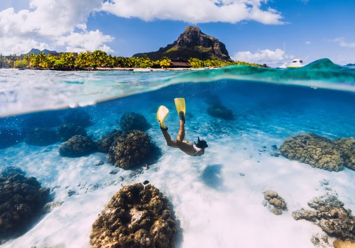 mauritius artikel