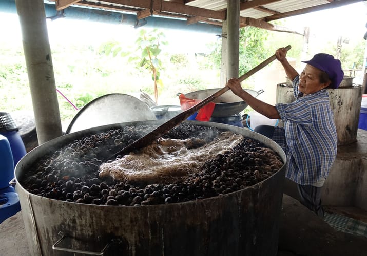 Thailand pioneering lanna trail tur indigo farvning phrae dag2