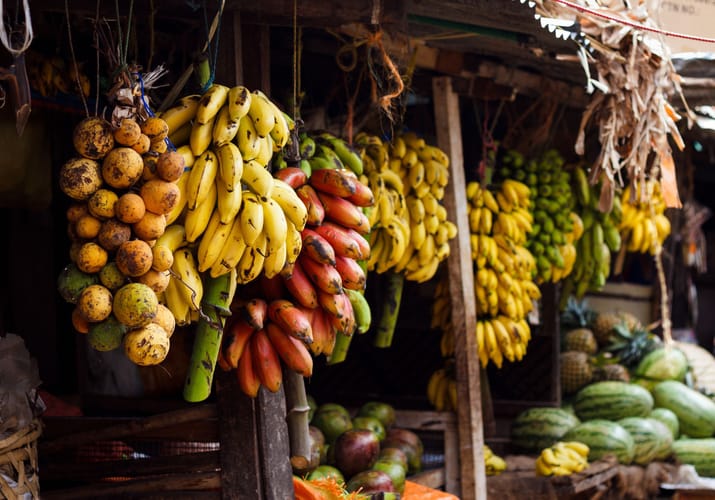zanzibar artikel