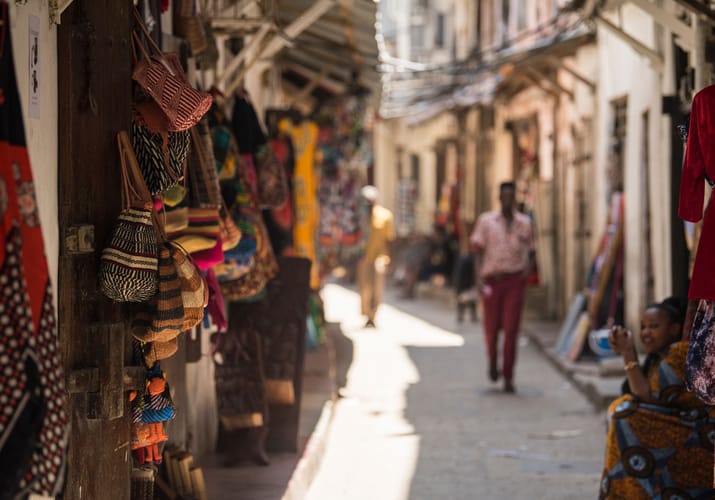 zanzibar artikel