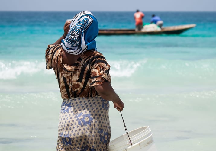 zanzibar artikel