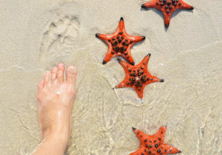 Vietnam phu quoc starfish beach istock scaled