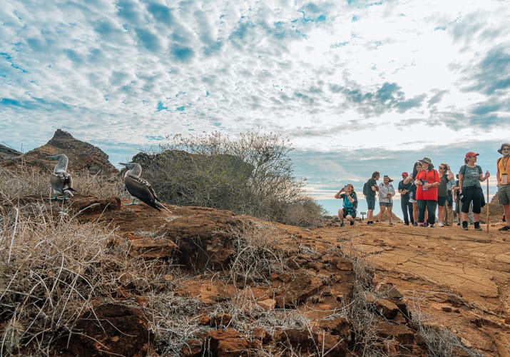 Rejsegruppe p&aring; Galapagos med Hurtigruten krydstogt
