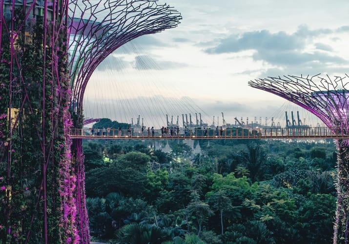 Gardens by the Bay Supertrees i Singapore med luftgangbro og frodig tropisk vegetation